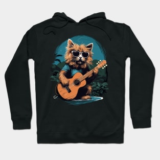 Hawaiian Guitar Music Concert Festival Funny Cat Hawaii Hoodie